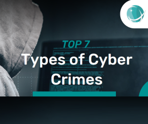 Top 7 Types of Cyber Crimes